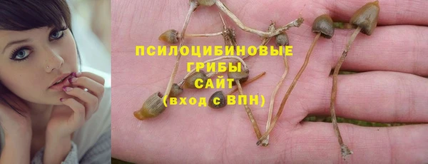 амф Белокуриха