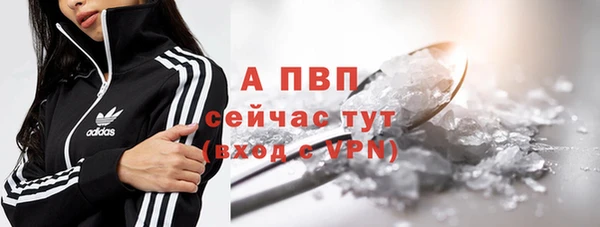 ALPHA PVP Беломорск