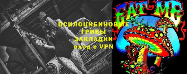 гидра Белоозёрский