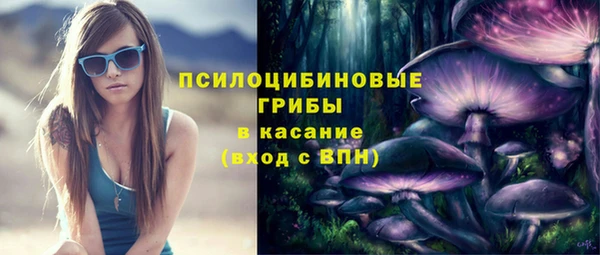 ALPHA PVP Беломорск