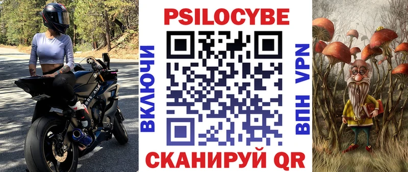 blacksprut маркетплейс  Купино  shop Telegram  Псилоцибиновые грибы Psilocybe 