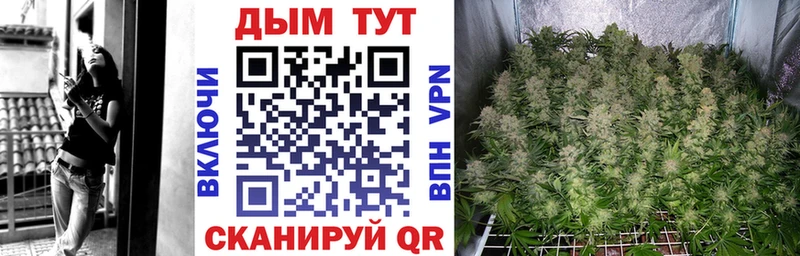 маркетплейс наркотические препараты  МЕГА вход  Купино  как найти наркотики  МАРИХУАНА марихуана 